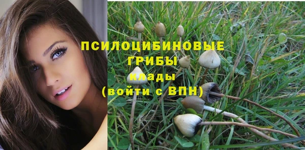 mix Магас