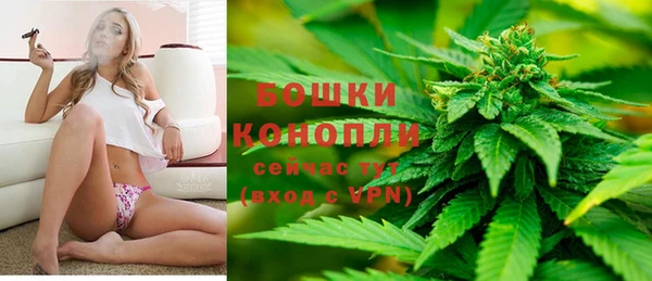 сатива Майский
