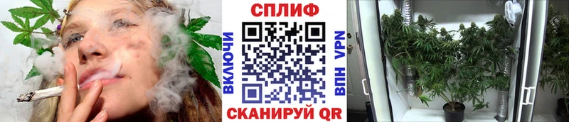 Конопля индика  Шацк 